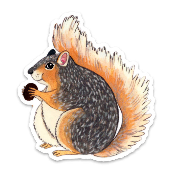 Squirrel Vinyl Sticker