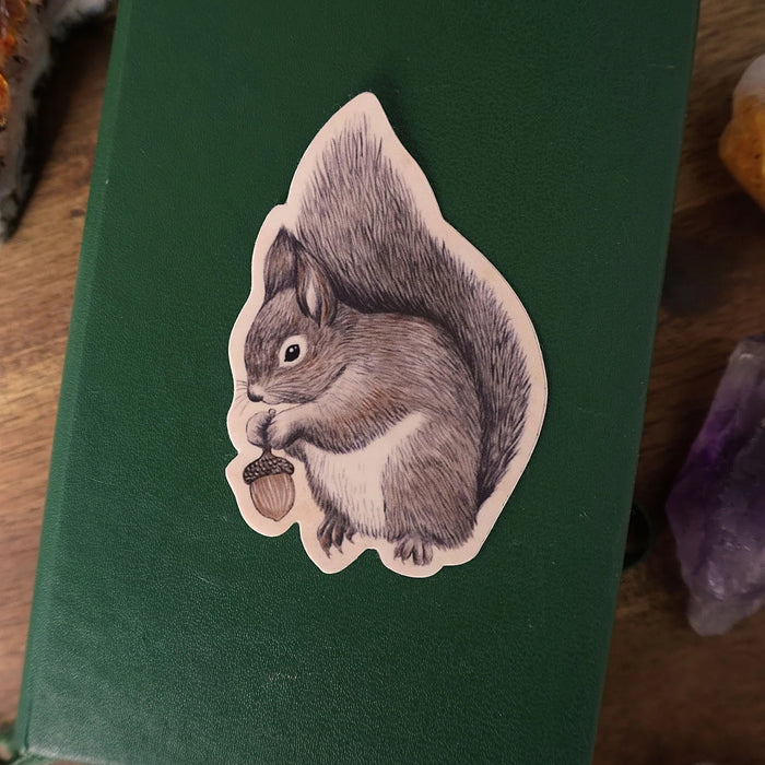 Squirrel Vinyl Sticker