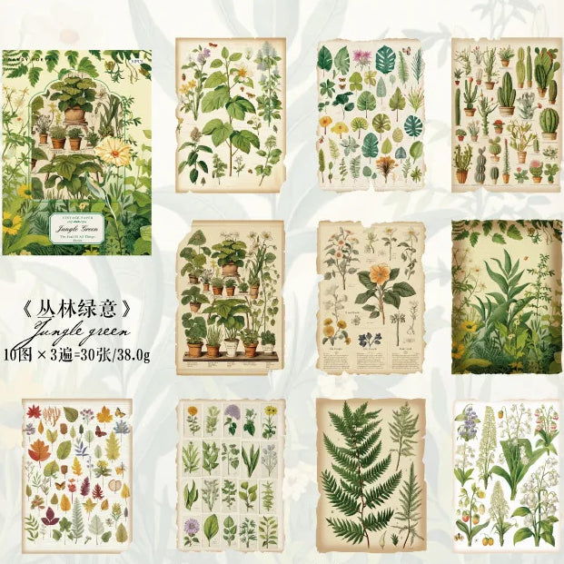 Collage Paper Pack - Jungle