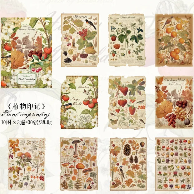 Collage Paper Pack - Plants