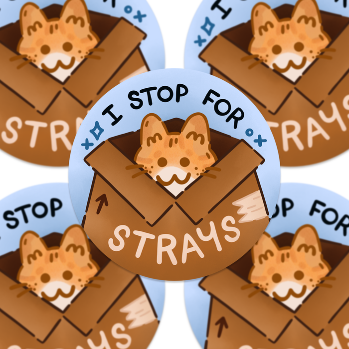 Stop for Strays Vinyl Sticker